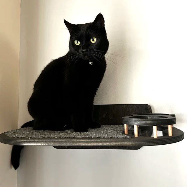 Set of Cat Wall Shelves with Food Bowls and Steps