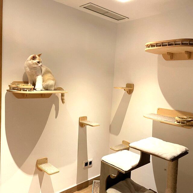 Set of Cat Wall Shelves with Food Bowls and Steps
