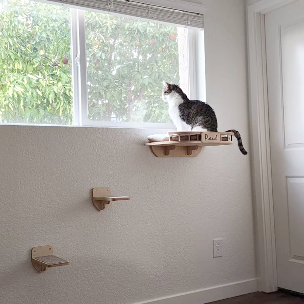 Complete Cat Wall Furniture Set - Large Cat Wall Shelf and 2 Cat Steps