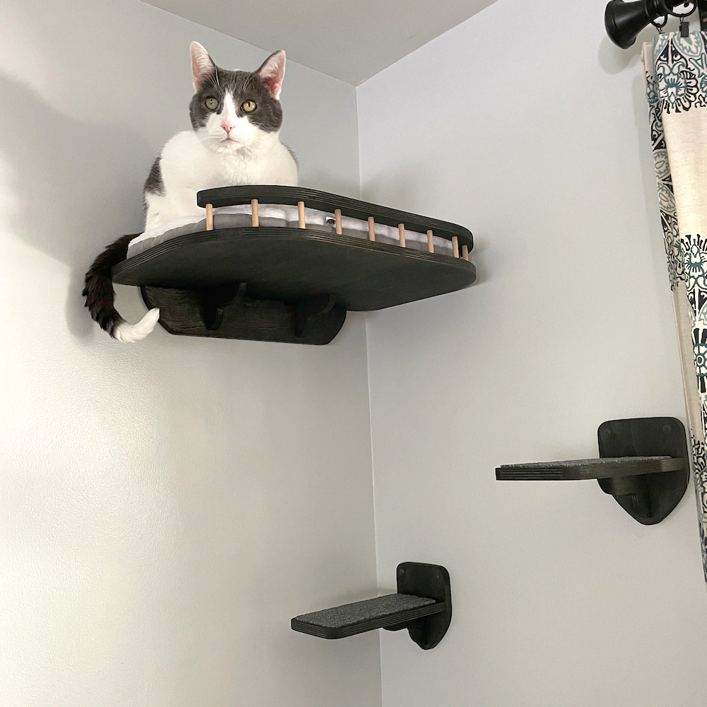 Complete Cat Wall Furniture Set - Large Cat Wall Shelf and 2 Cat Steps