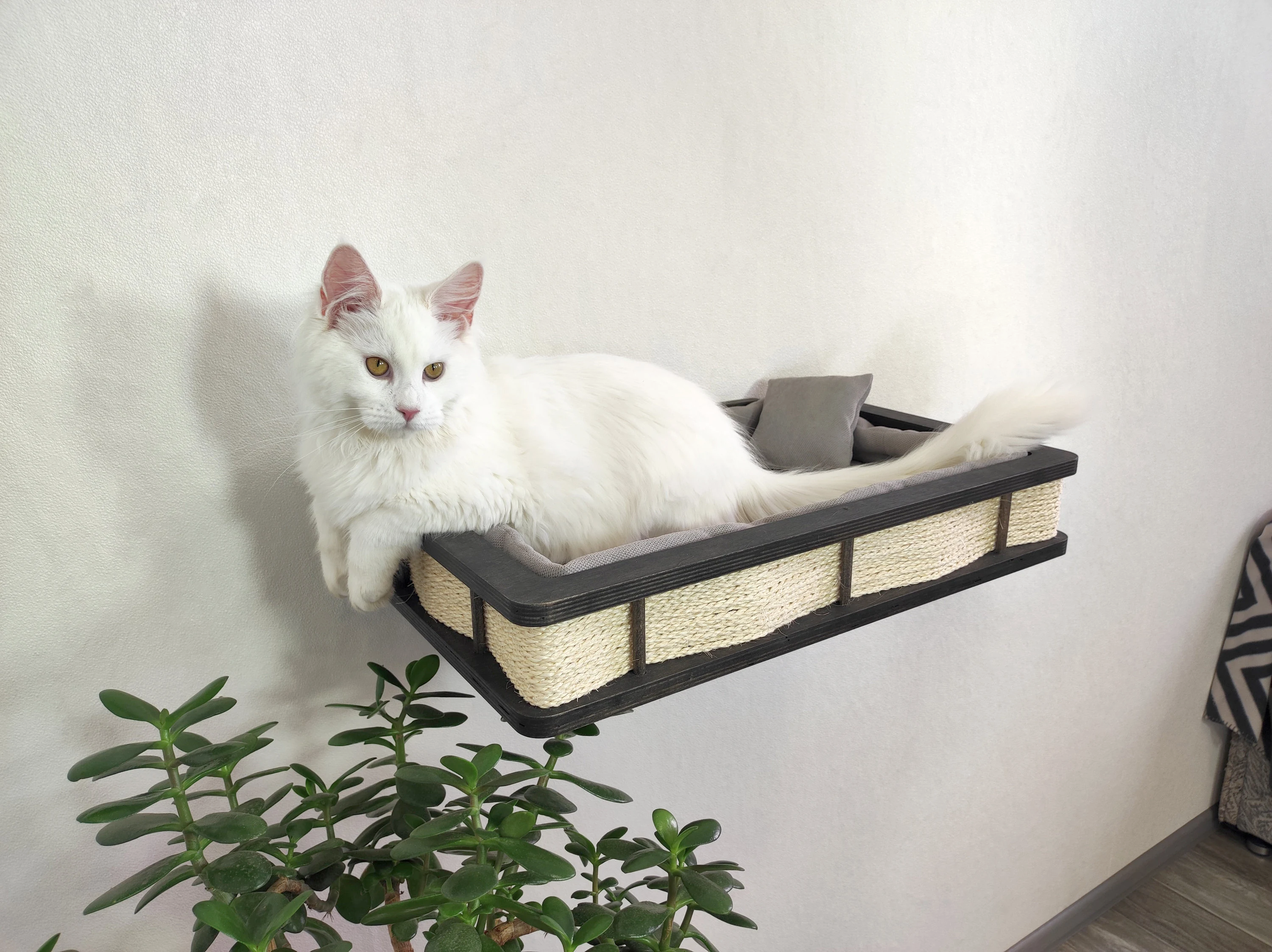 Modern Wall Mounted Cat Bed with Cushion