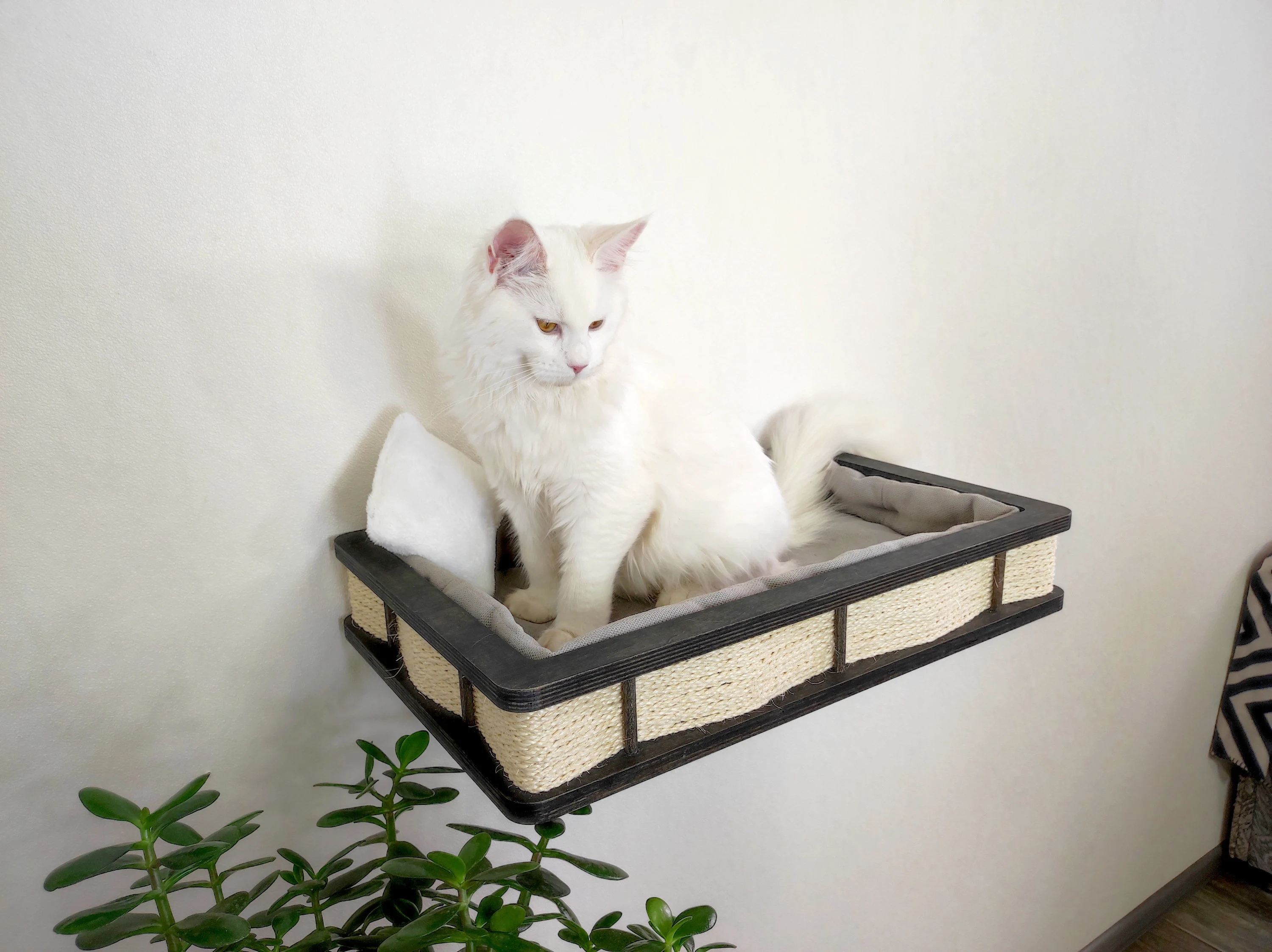 Modern Wall Mounted Cat Bed with Cushion