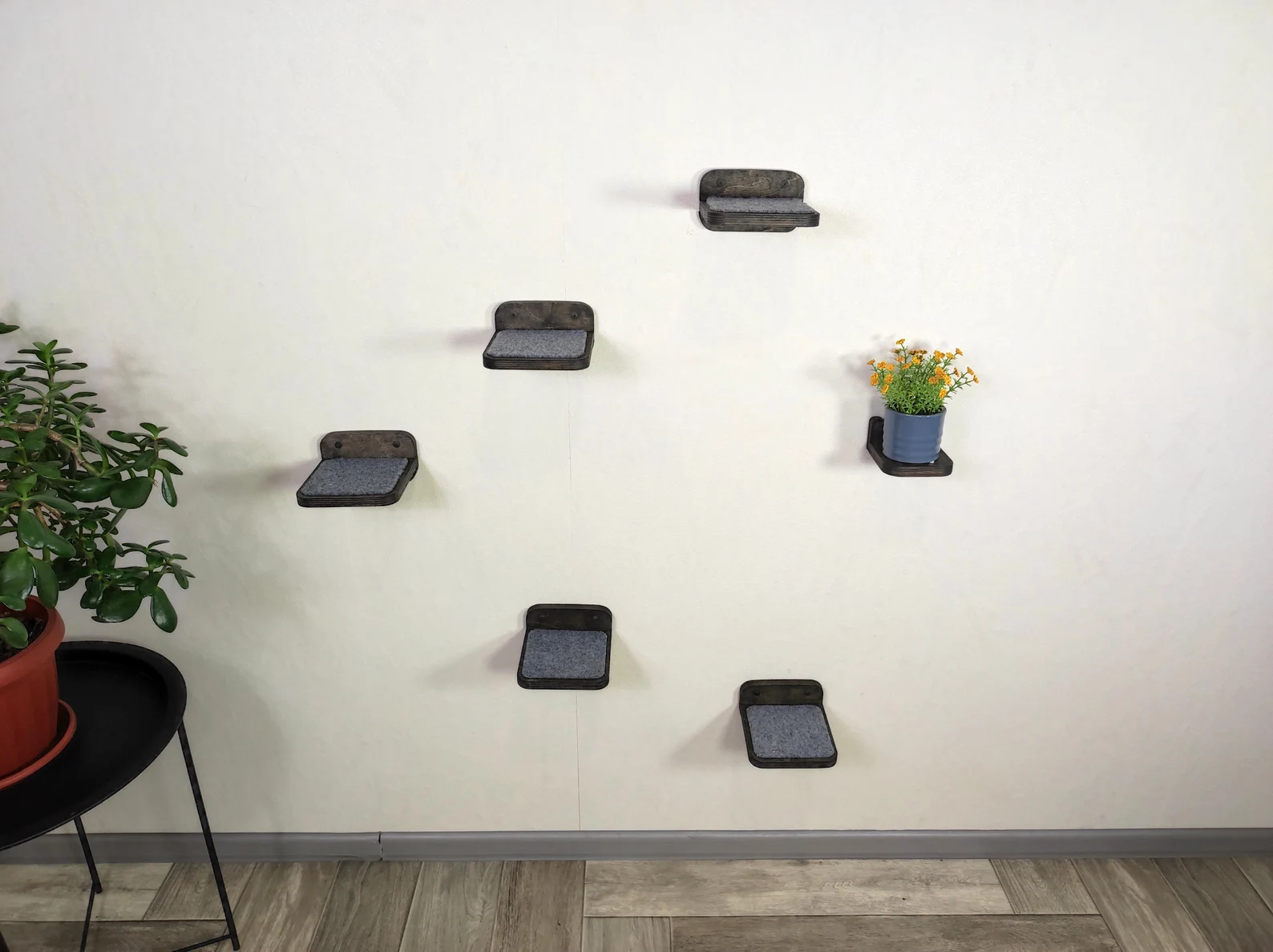 Set of 5 "mini" Cat Wall Steps
