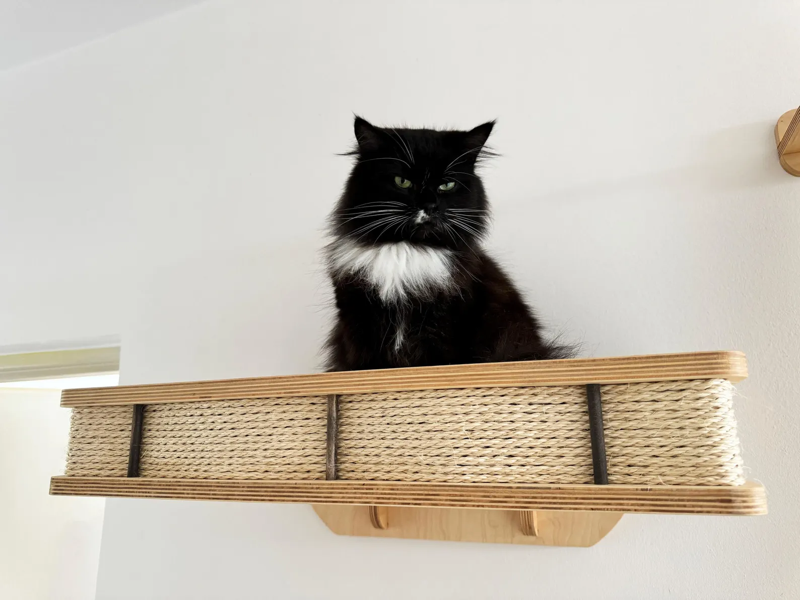 Modern Wall Mounted Cat Bed with Cushion