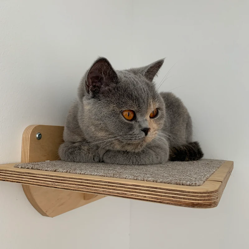 Carpeted Wall Mounted Cat Shelf with Steps