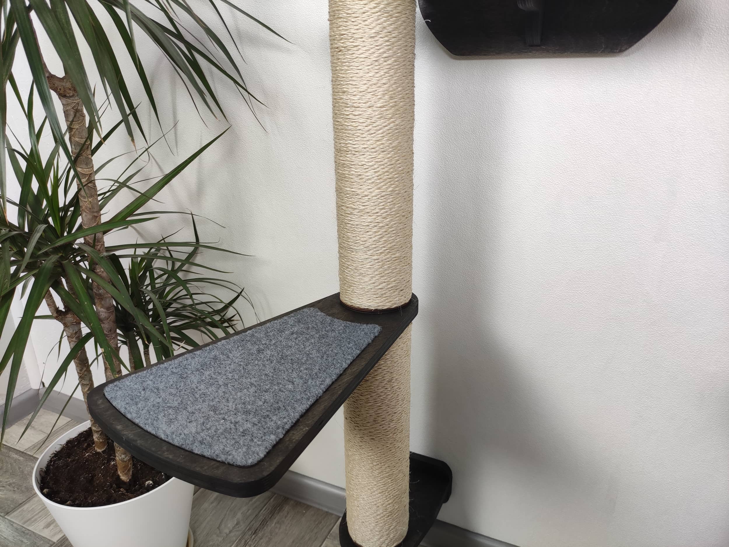 Vertical Сat Climbing System "Snake"