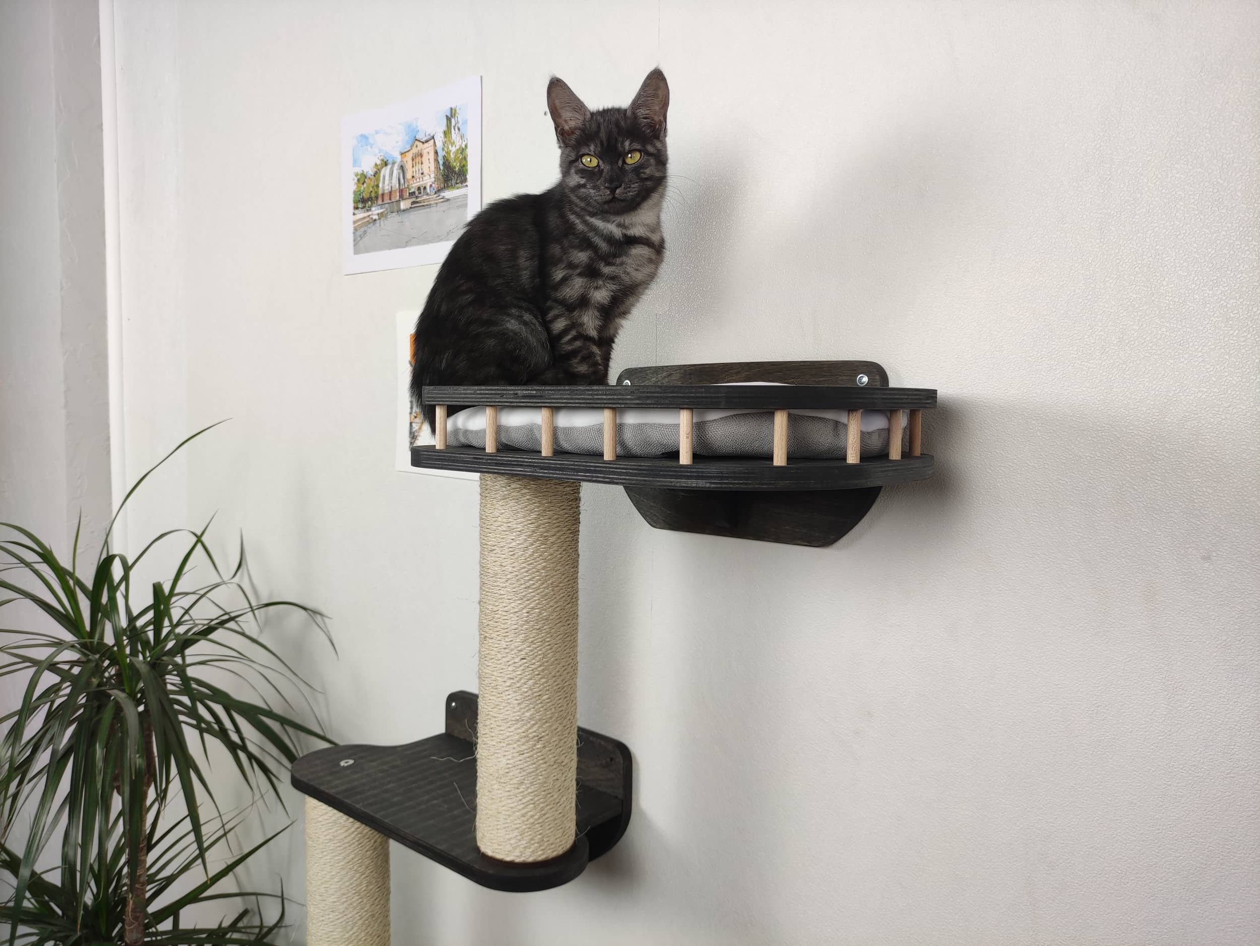Vertical Сat Climbing System "Snake"