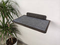 Cat Wall Mounted Shelves with Carpet