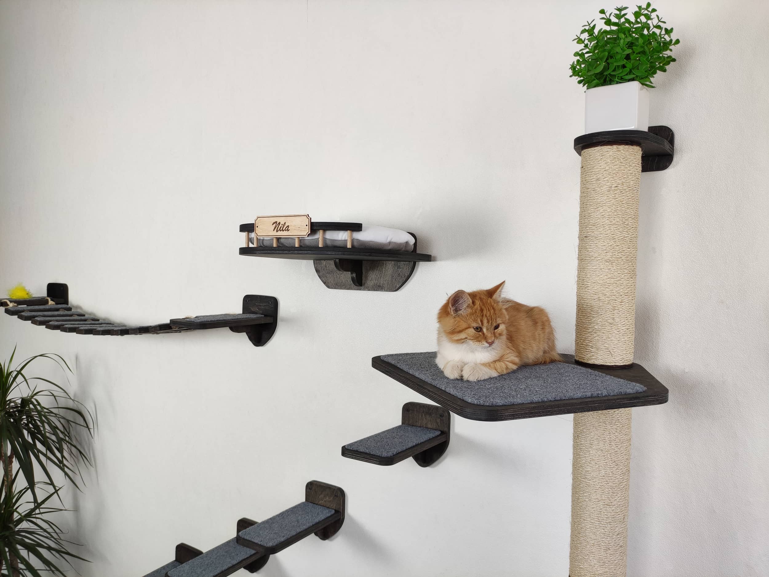 Large Set of Cat Furniture Bony - Scratching Post, Bed, Bridge, Steps