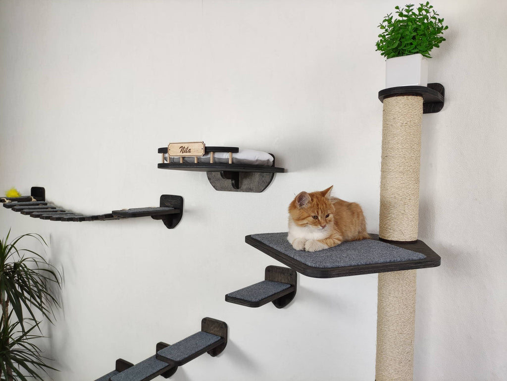 Cat Wall Furniture Set "BONY" - Sisal Scratching Post, Bed, Bridge & Steps