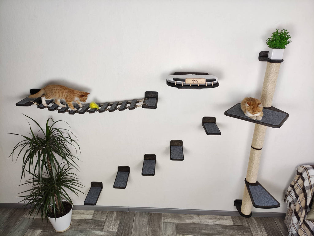 Cat Wall Furniture Set "BONY" - Sisal Scratching Post, Bed, Bridge & Steps