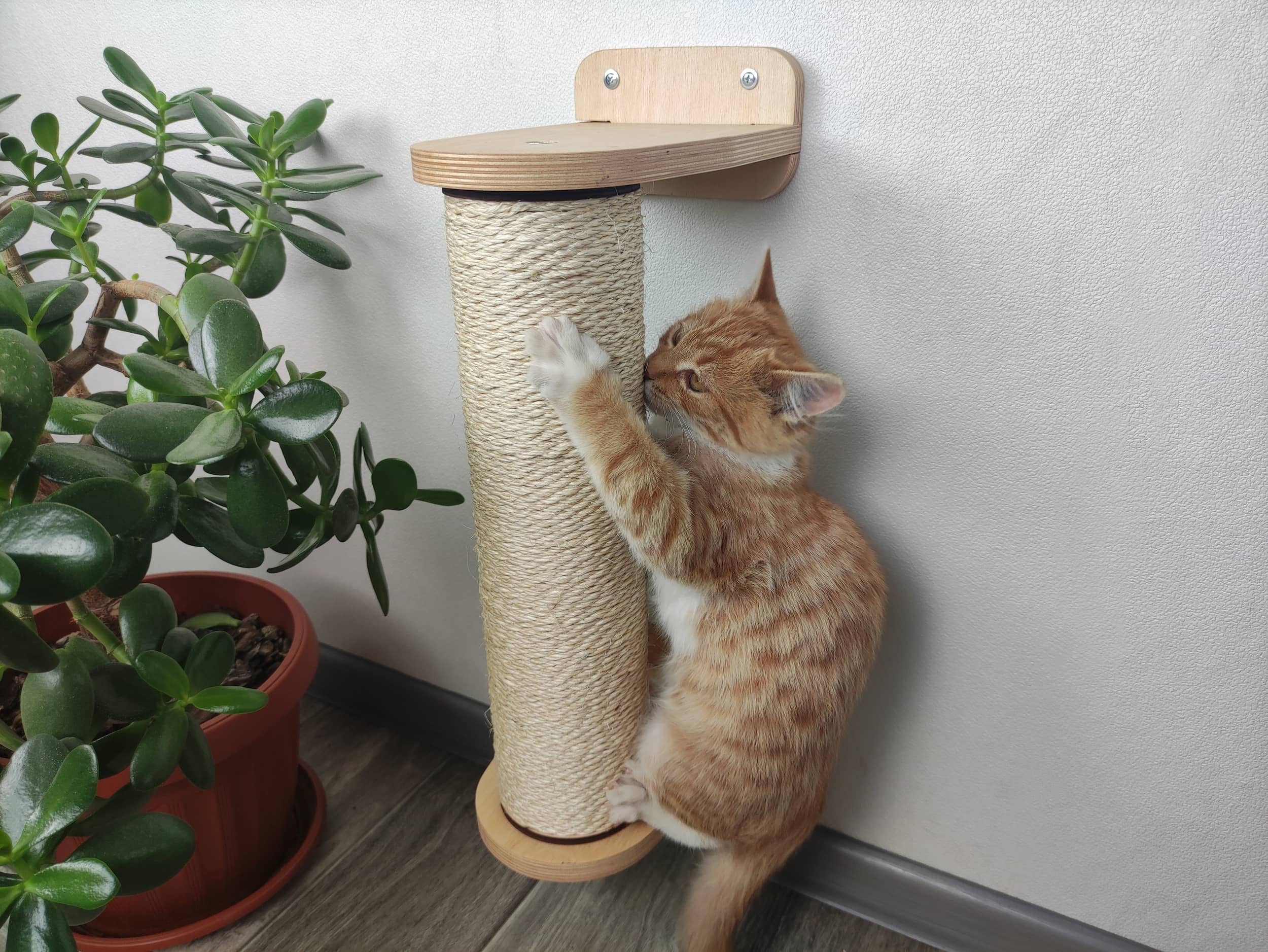 Vertical Cat Scratching Pole (Wall-mounted)
