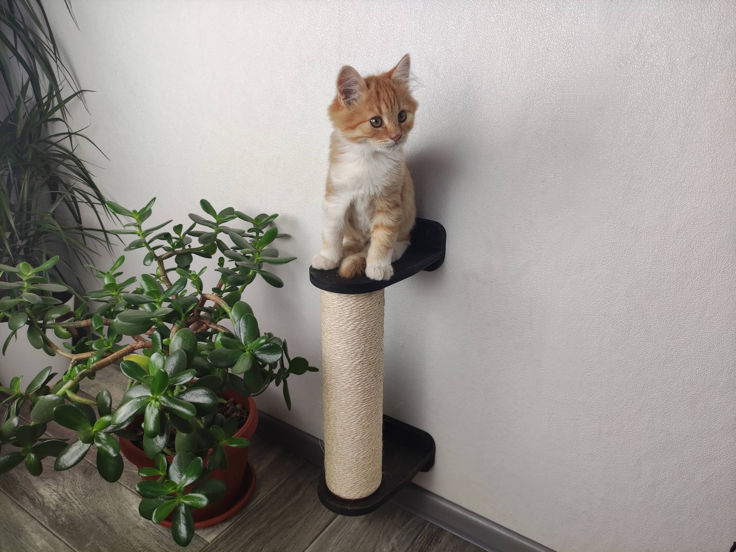 Vertical Cat Scratching Pole (Wall-mounted)