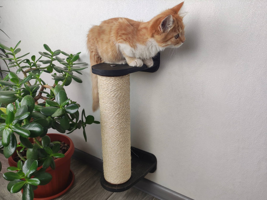 Vertical Cat Scratching Pole (Wall-mounted)