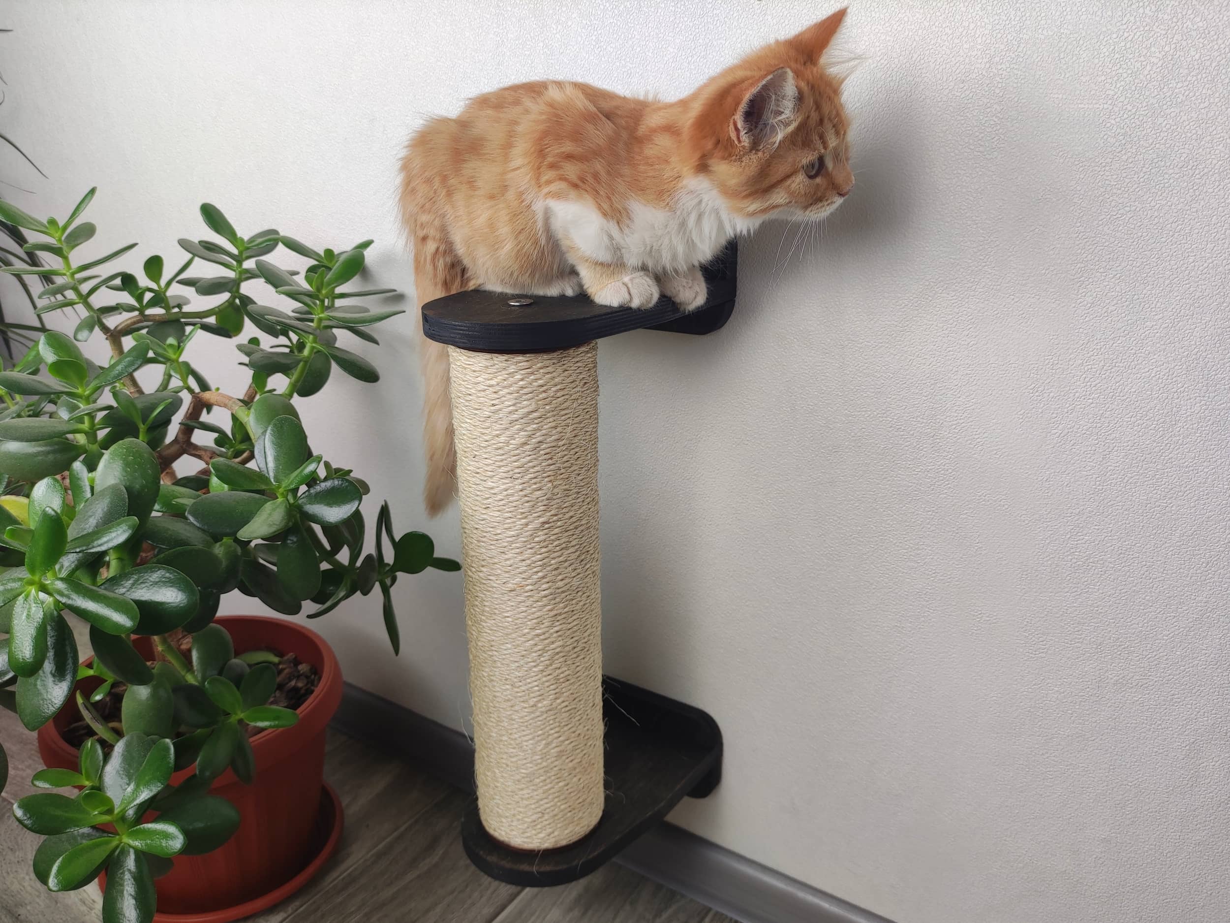 Vertical Cat Scratching Pole (Wall-mounted)