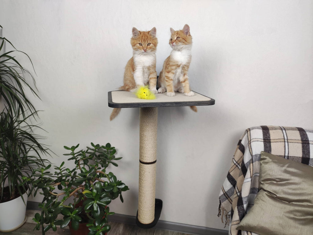 Wall Scratcher for Cats (Natural wood & Sisal cord)
