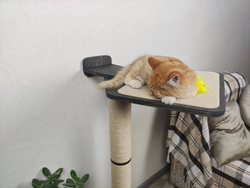Wall Scratcher for Cats (Natural wood & Sisal cord)