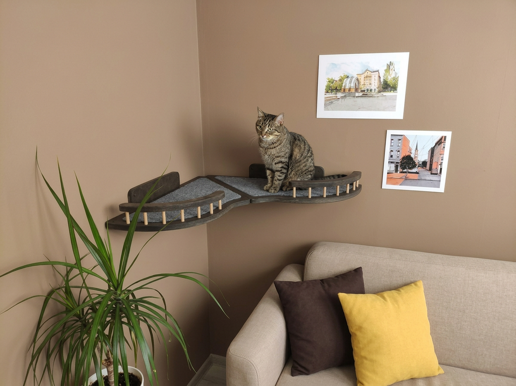 Corner Wall Cat Shelves Set - Creating a Cozy Space in Any Room