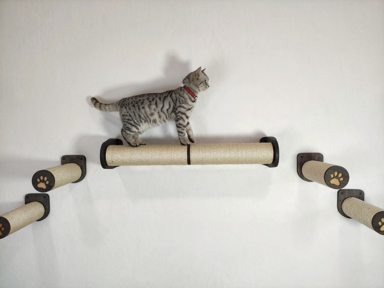 Cat's Sisal Playground Set - Scratcher & 4 Steps
