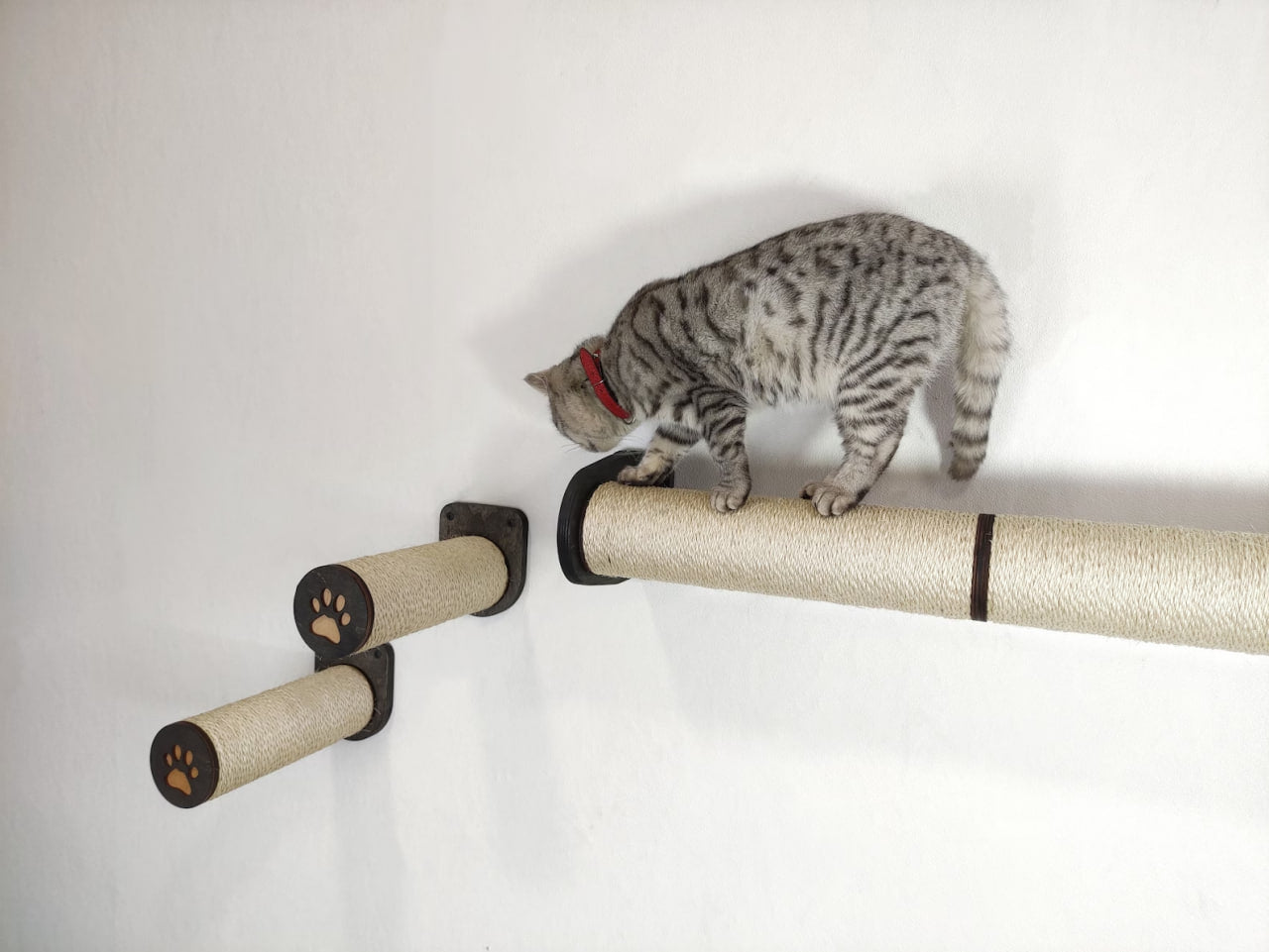 Cat's Sisal Playground Set - Scratcher & 4 Steps