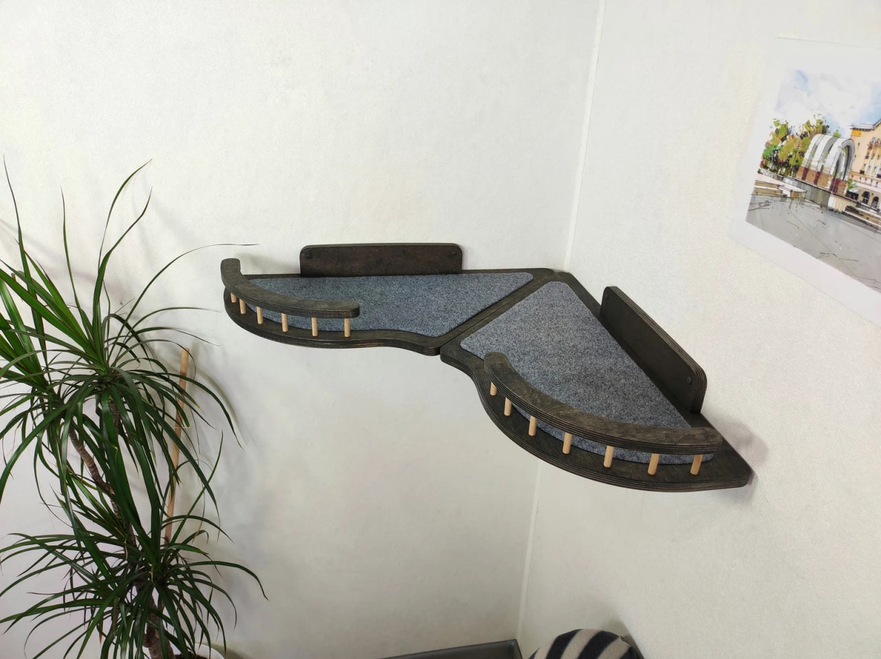 Corner Wall Cat Shelves Set - Creating a Cozy Space in Any Room