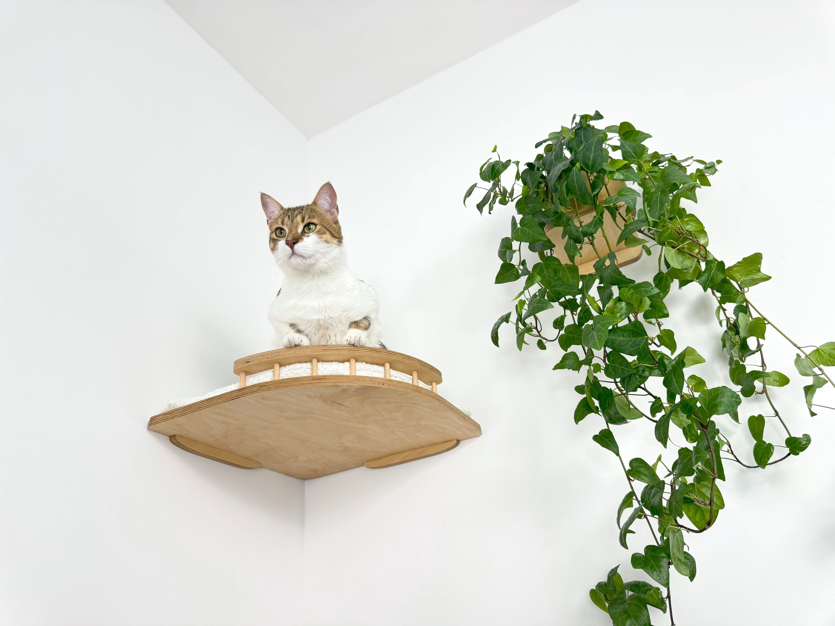 Corner Cat Wall Shelf with Soft Cushion