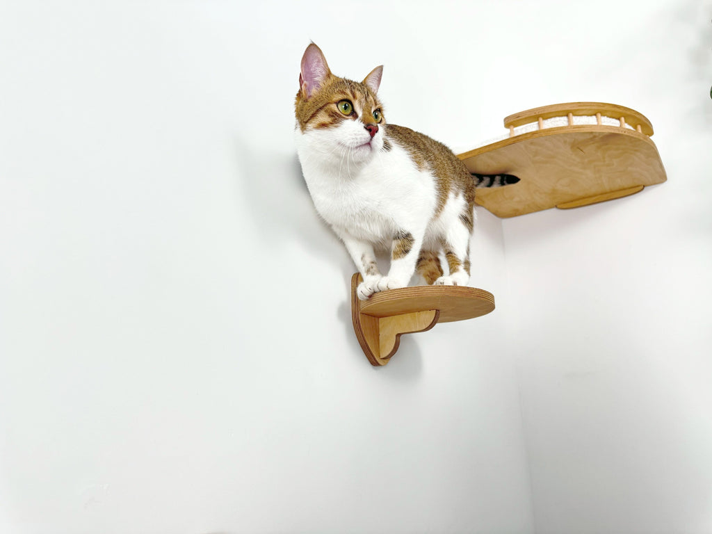 Cozy Corner Cat Bed with Soft Cushion - Optional Steps for Easy Access