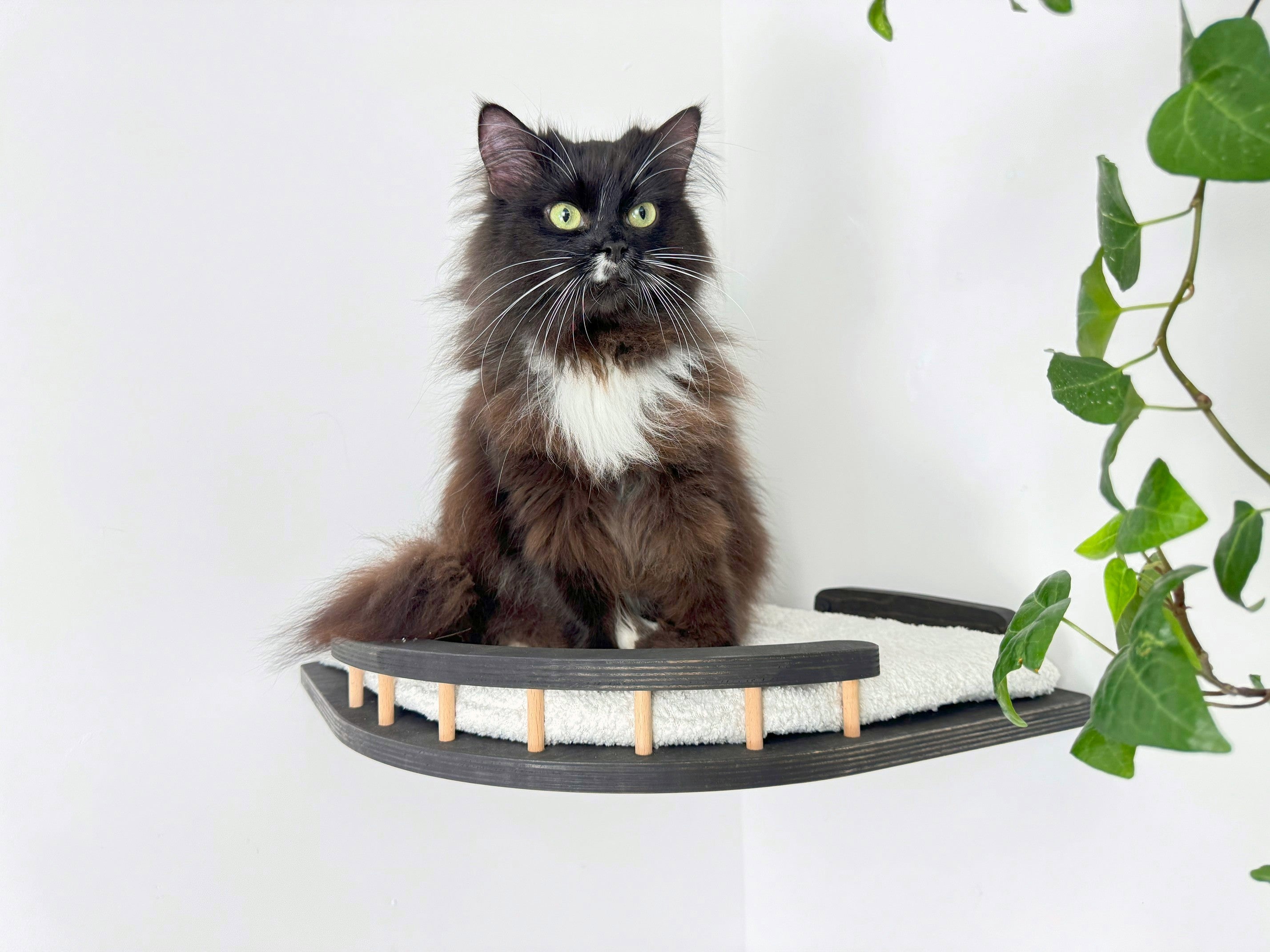 Corner Cat Wall Shelf with Soft Cushion