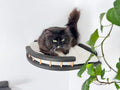 Corner Cat Wall Shelf with Soft Cushion