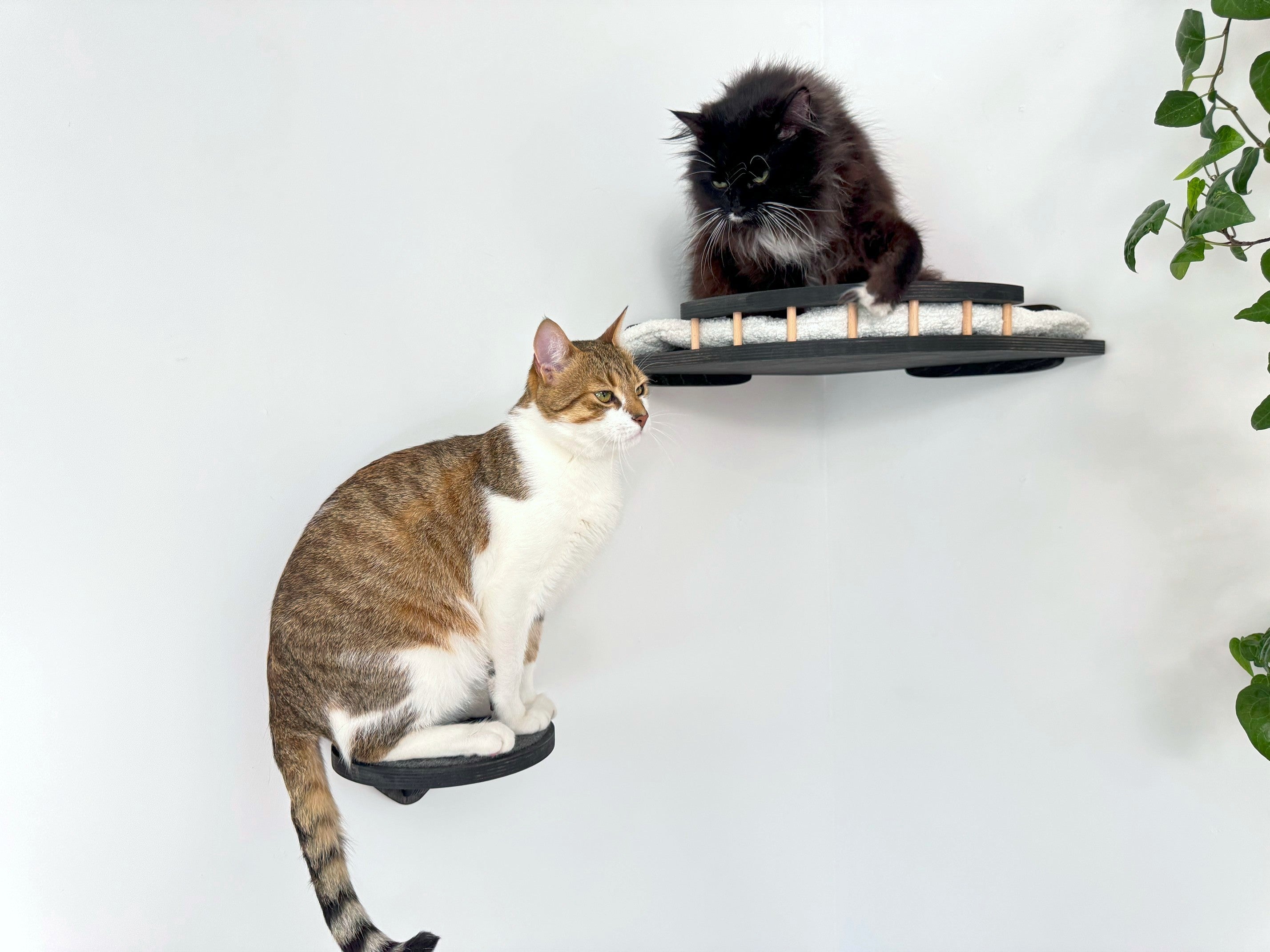 Cozy Corner Cat Bed with Soft Cushion - Optional Steps for Easy Access