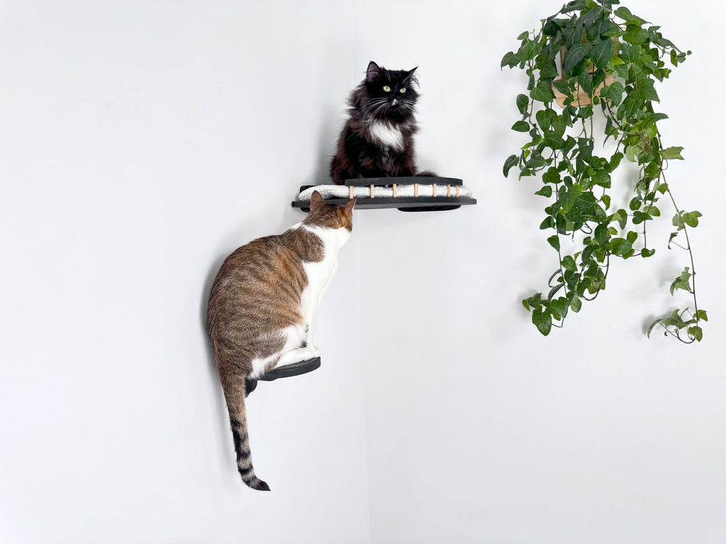 Cozy Corner Cat Bed with Soft Cushion - Optional Steps for Easy Access
