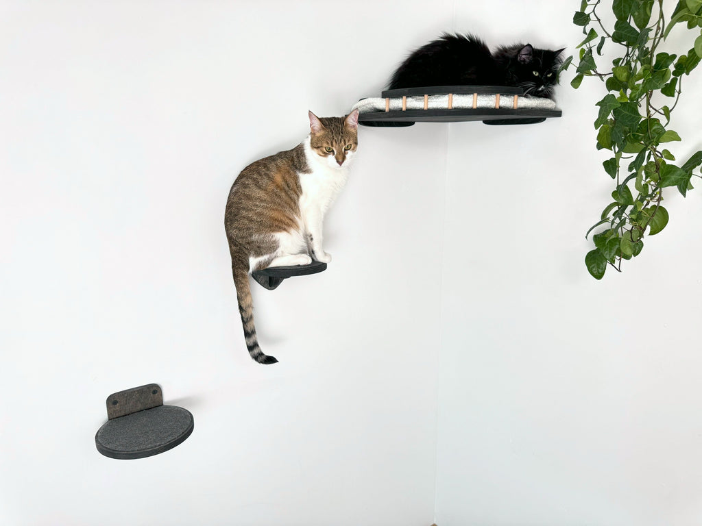 Cozy Corner Cat Bed with Soft Cushion - Optional Steps for Easy Access