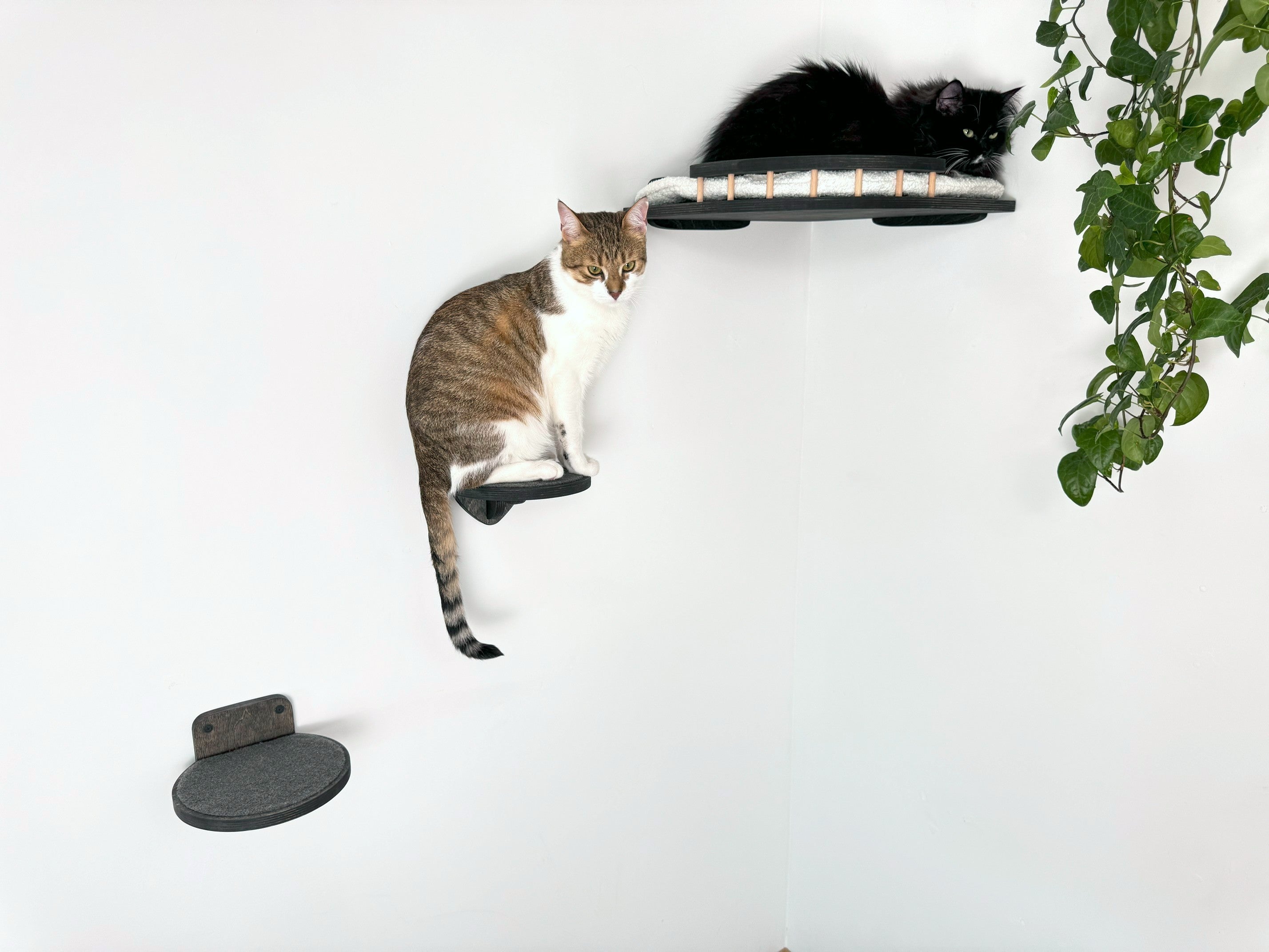 Cozy Corner Cat Bed with Soft Cushion - Optional Steps for Easy Access