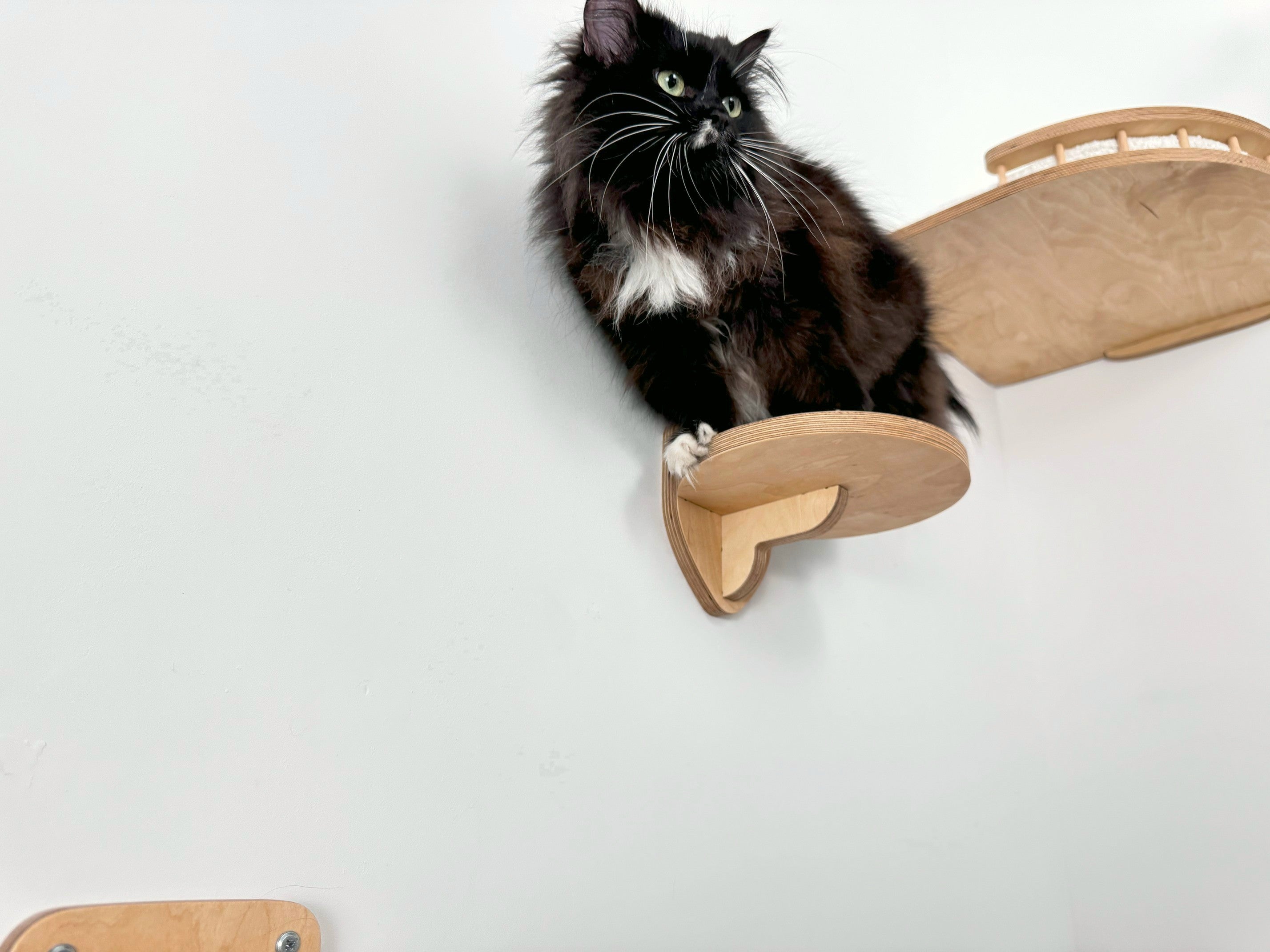 Cozy Corner Cat Bed with Soft Cushion - Optional Steps for Easy Access