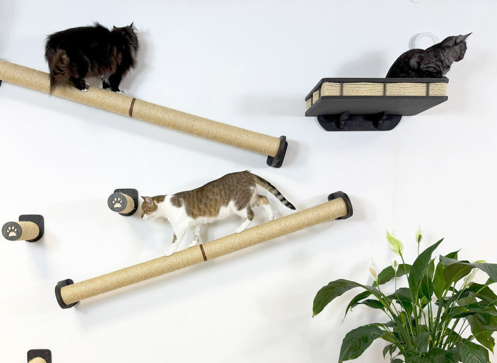 Vertical Cat Play System �C Steps, Shelf & Scratching Posts