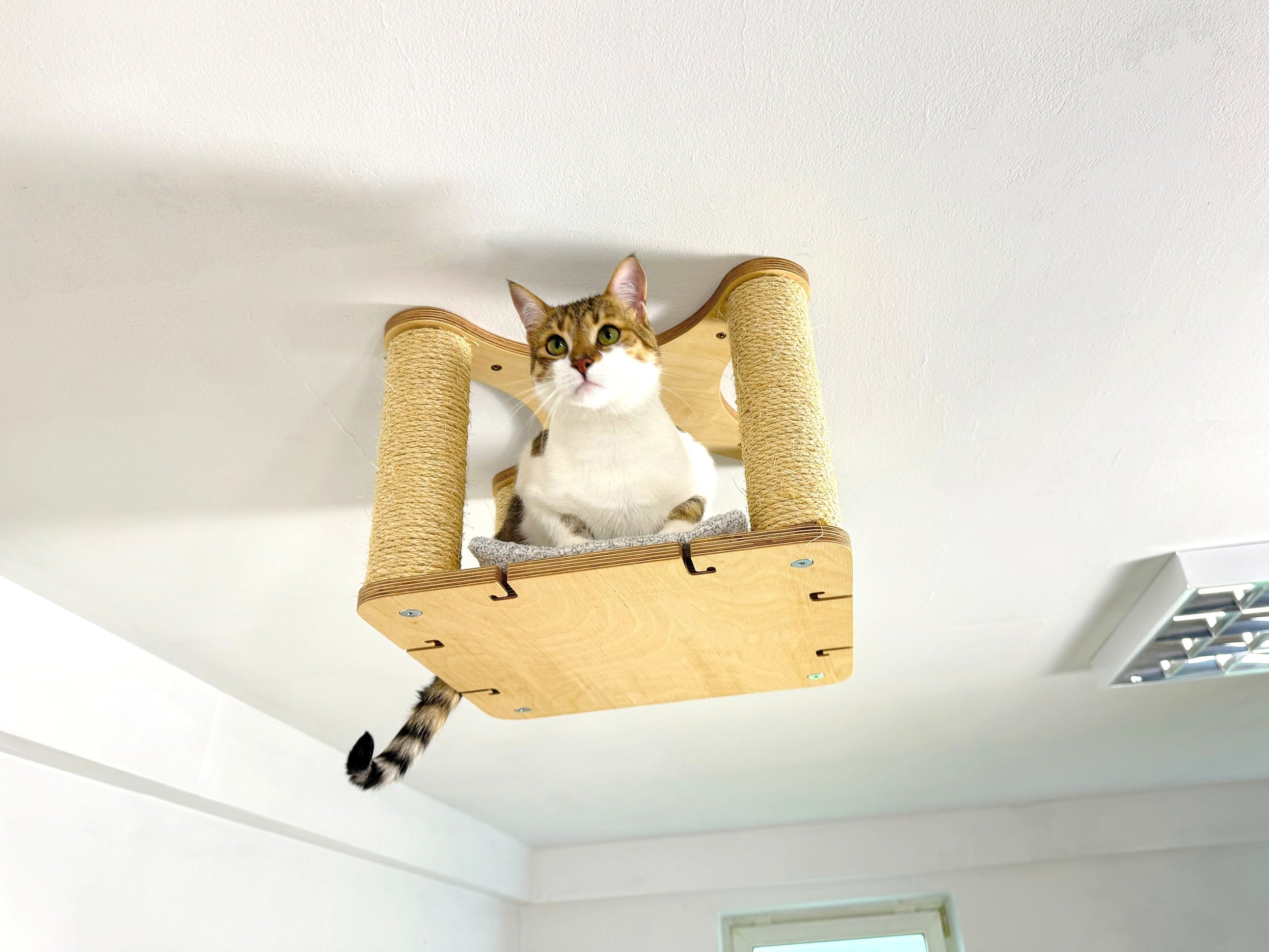 Ceiling Cat Shelf with Sisal Scratchers