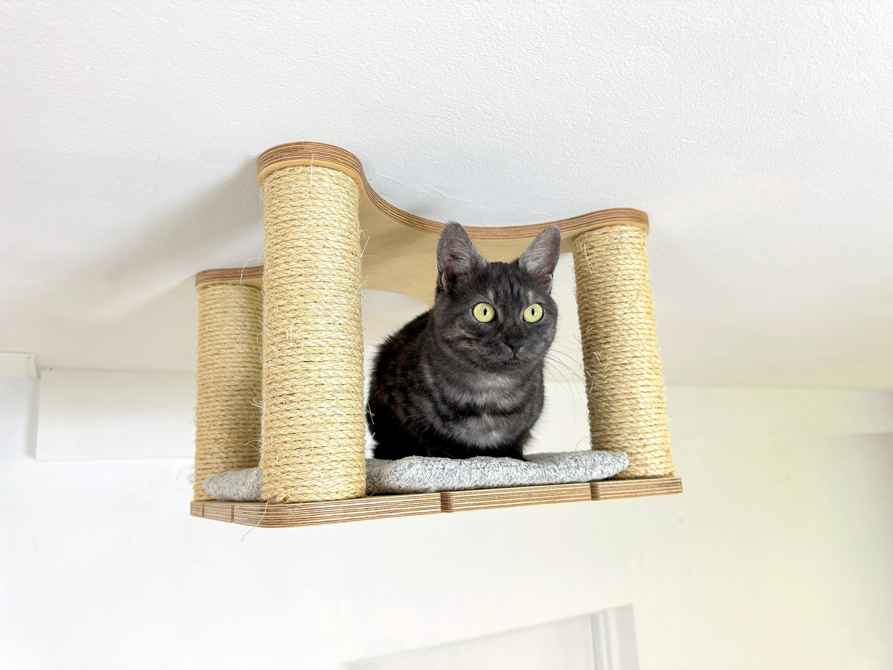 Ceiling Cat Shelf with Sisal Scratchers
