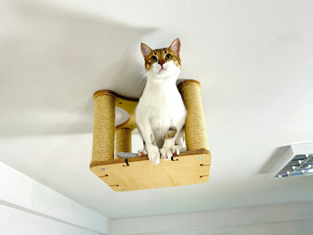 Ceiling Cat Platform with Cushion and 4 Sisal Columns