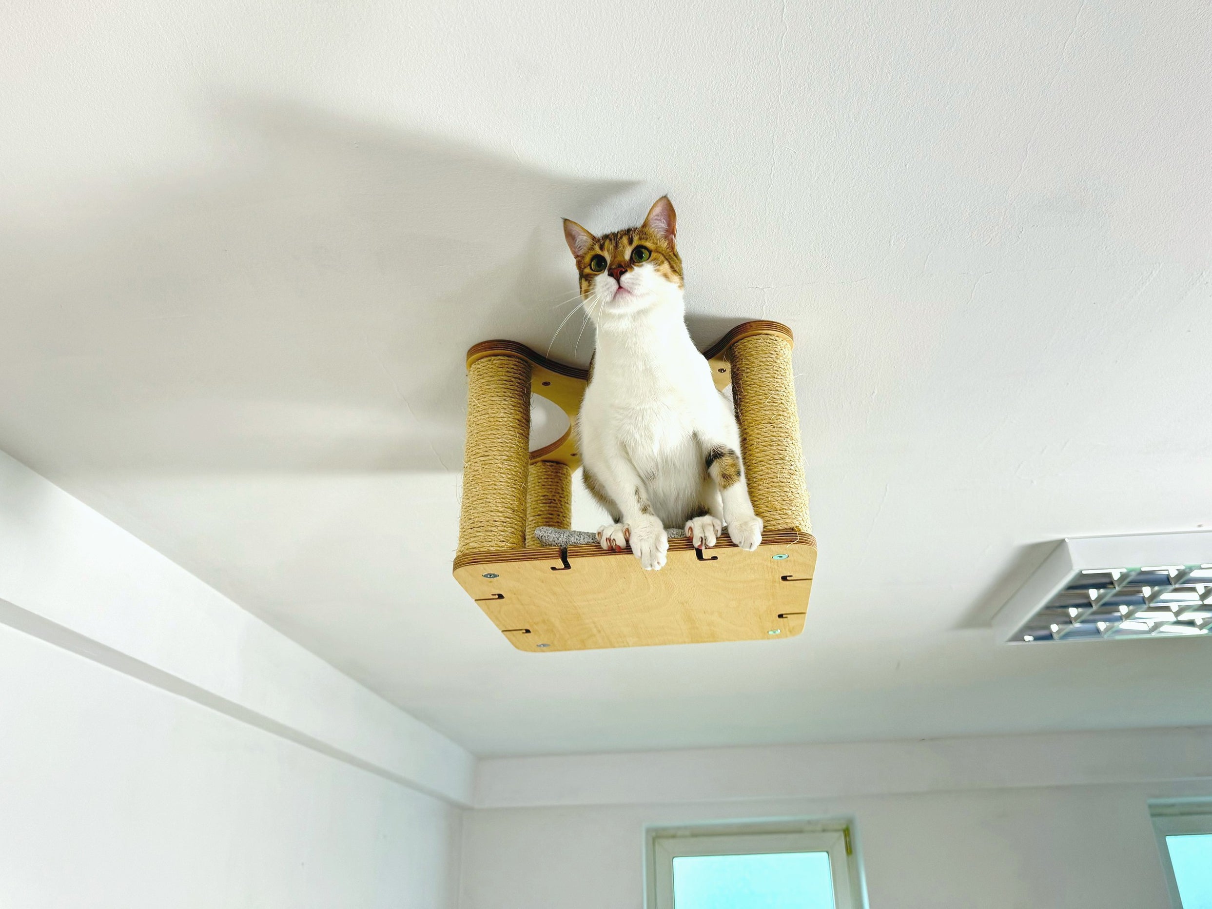 Ceiling Cat Platform with Cushion and 4 Sisal Columns