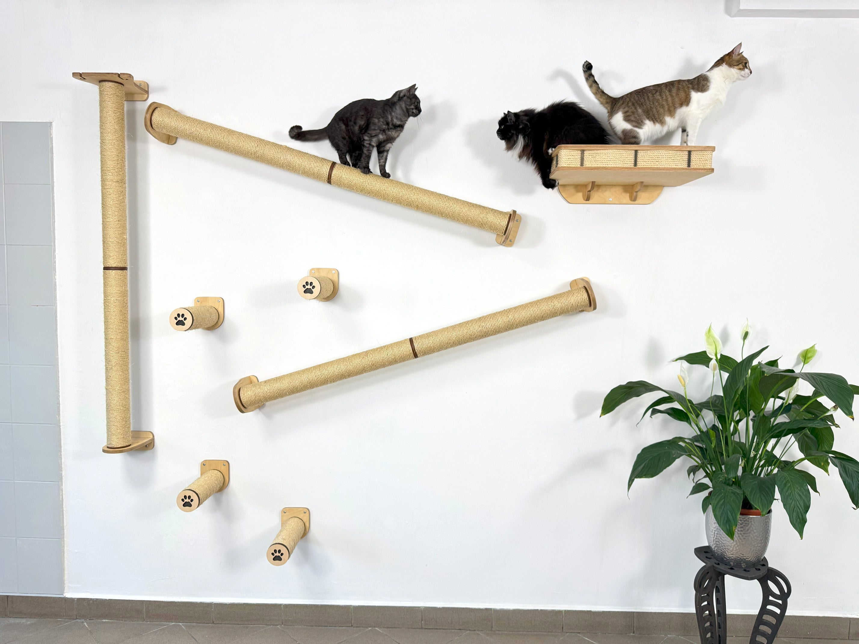 Vertical Cat Play System �C Steps, Shelf & Scratching Posts