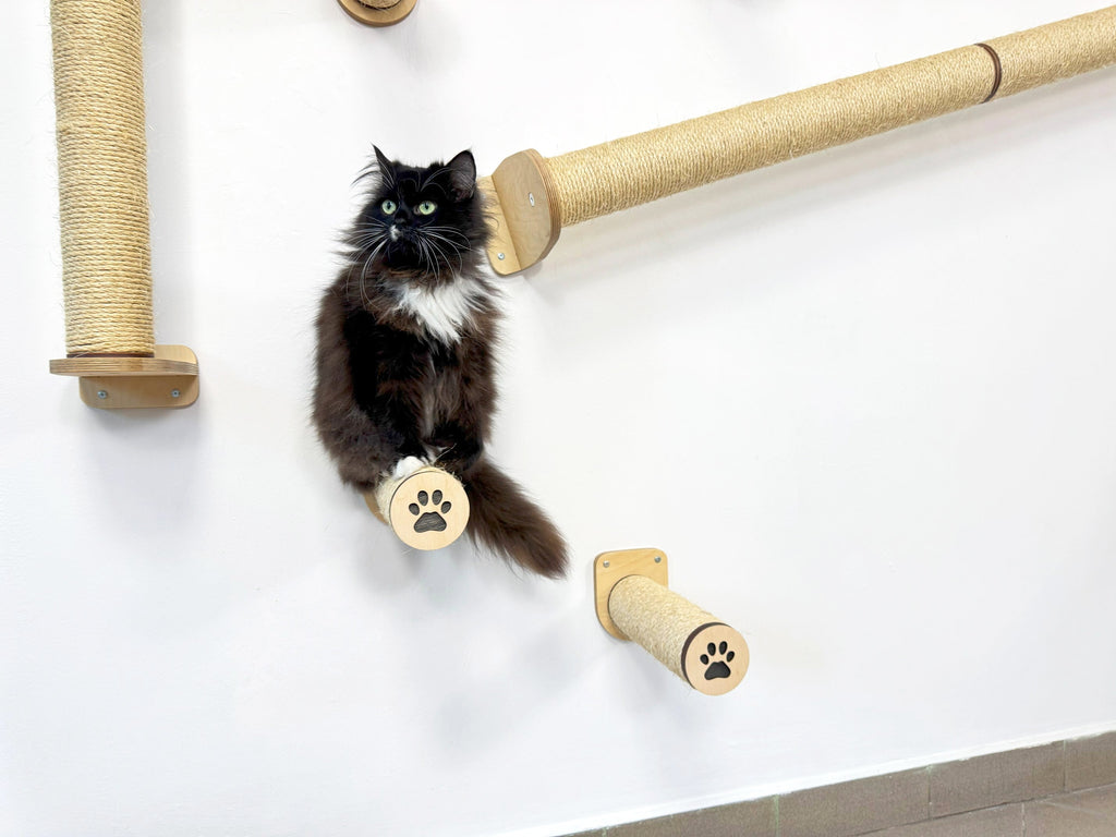 Vertical Cat Play System �C Steps, Shelf & Scratching Posts