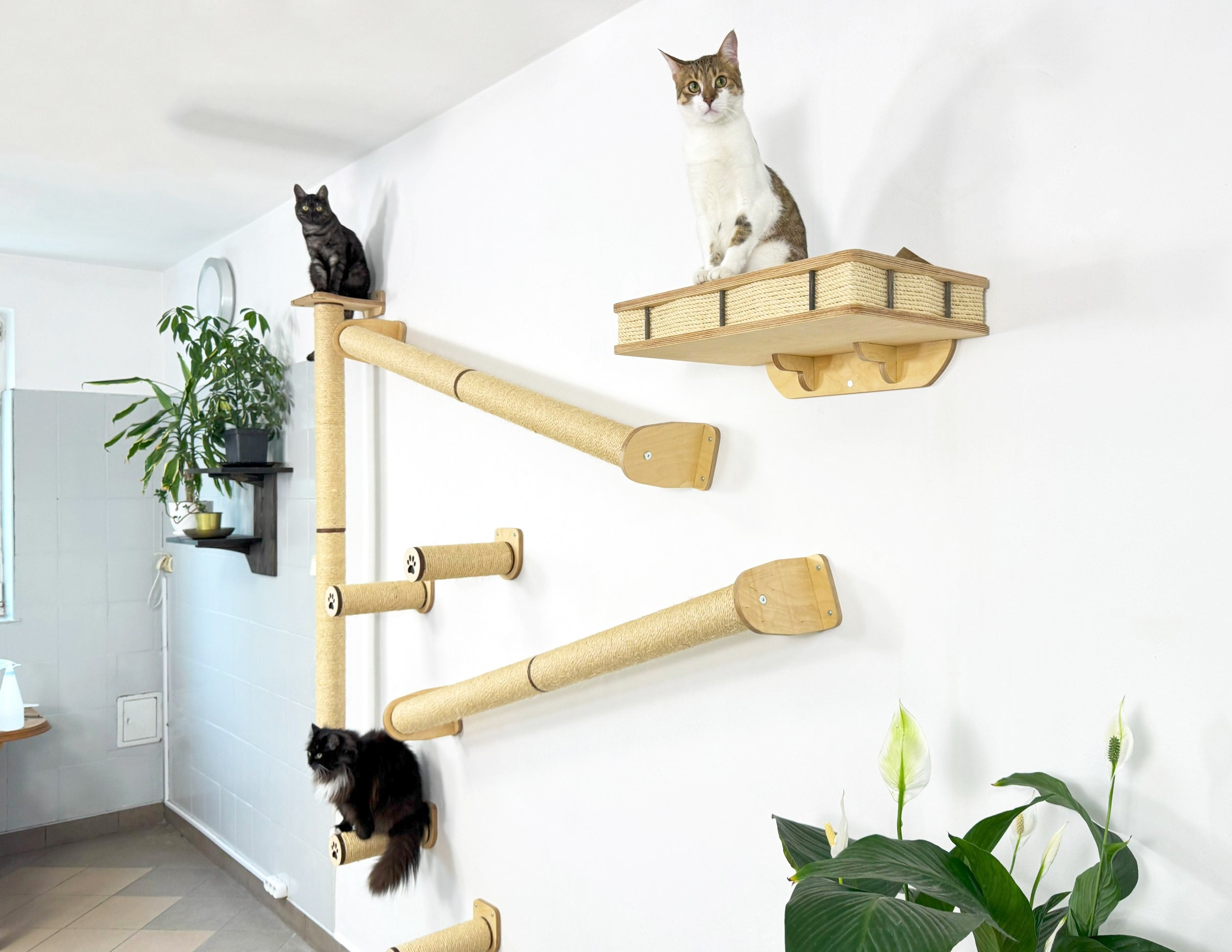 Wall Climbing Set for Cats with Shelf and Sisal Posts