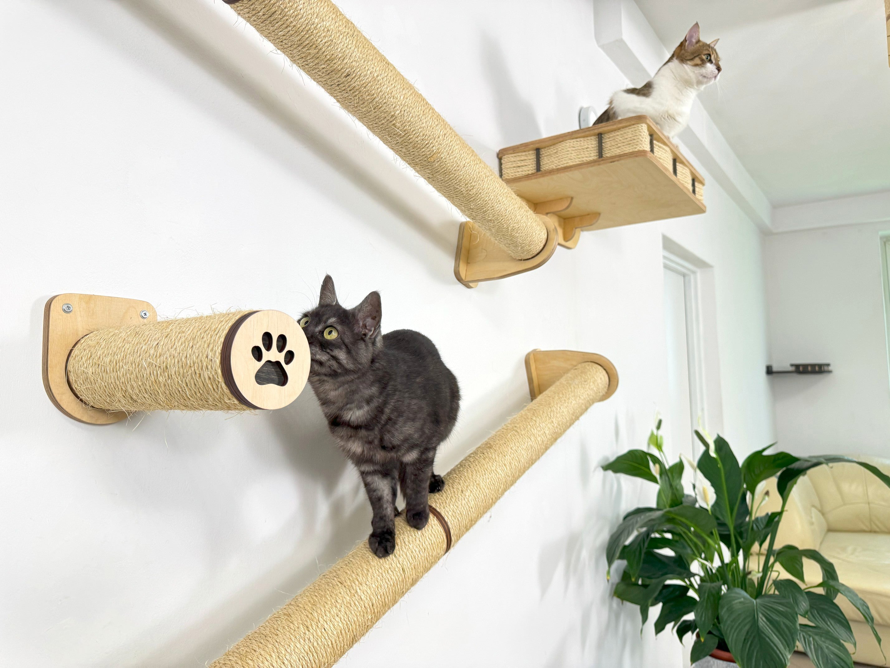 Vertical Cat Play System �C Steps, Shelf & Scratching Posts
