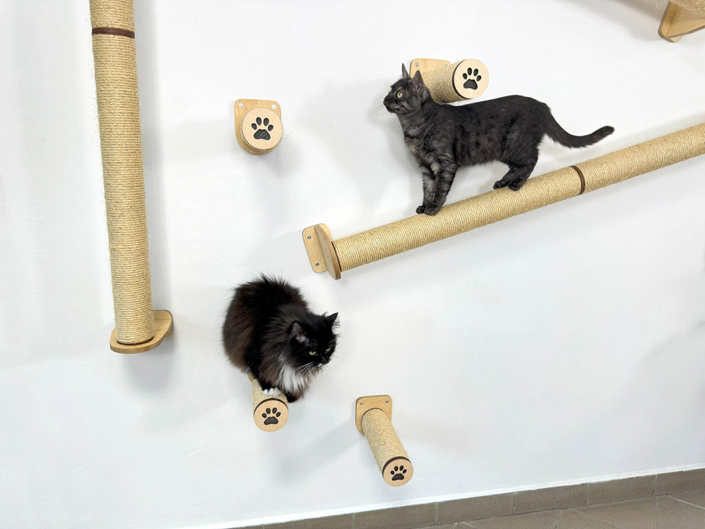 Vertical Cat Play System �C Steps, Shelf & Scratching Posts