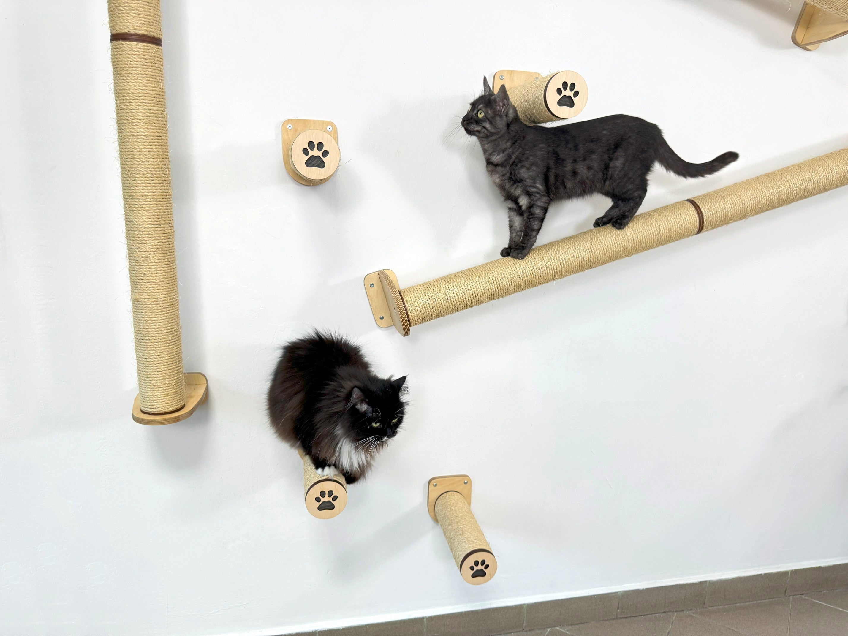 Wall Climbing Set for Cats with Shelf and Sisal Posts