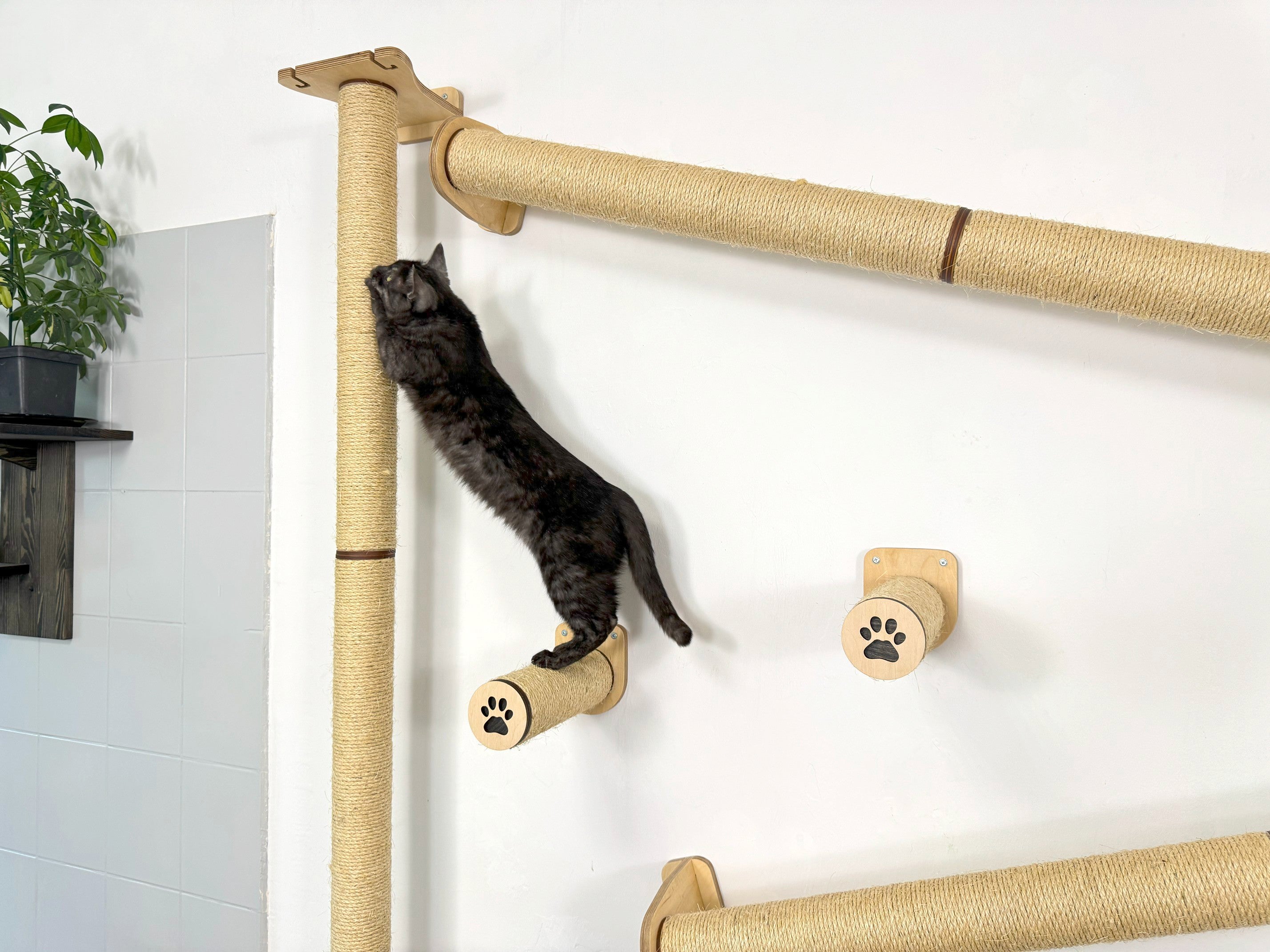 Wall Climbing Set for Cats with Shelf and Sisal Posts