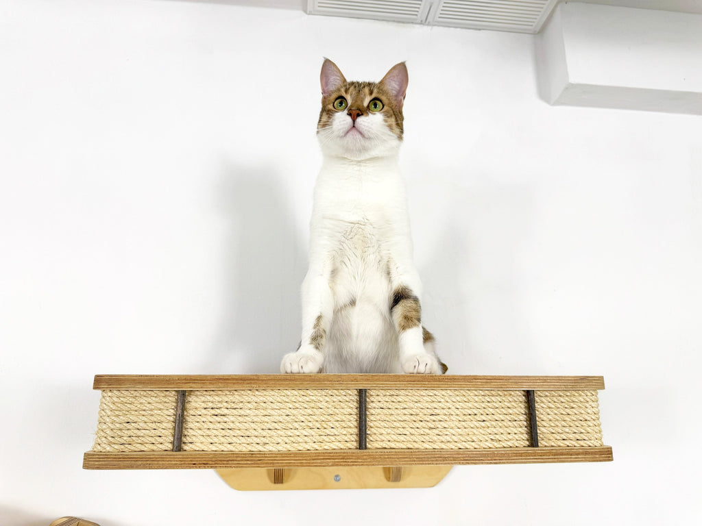 Modern Wall Mounted Cat Bed with Cushion