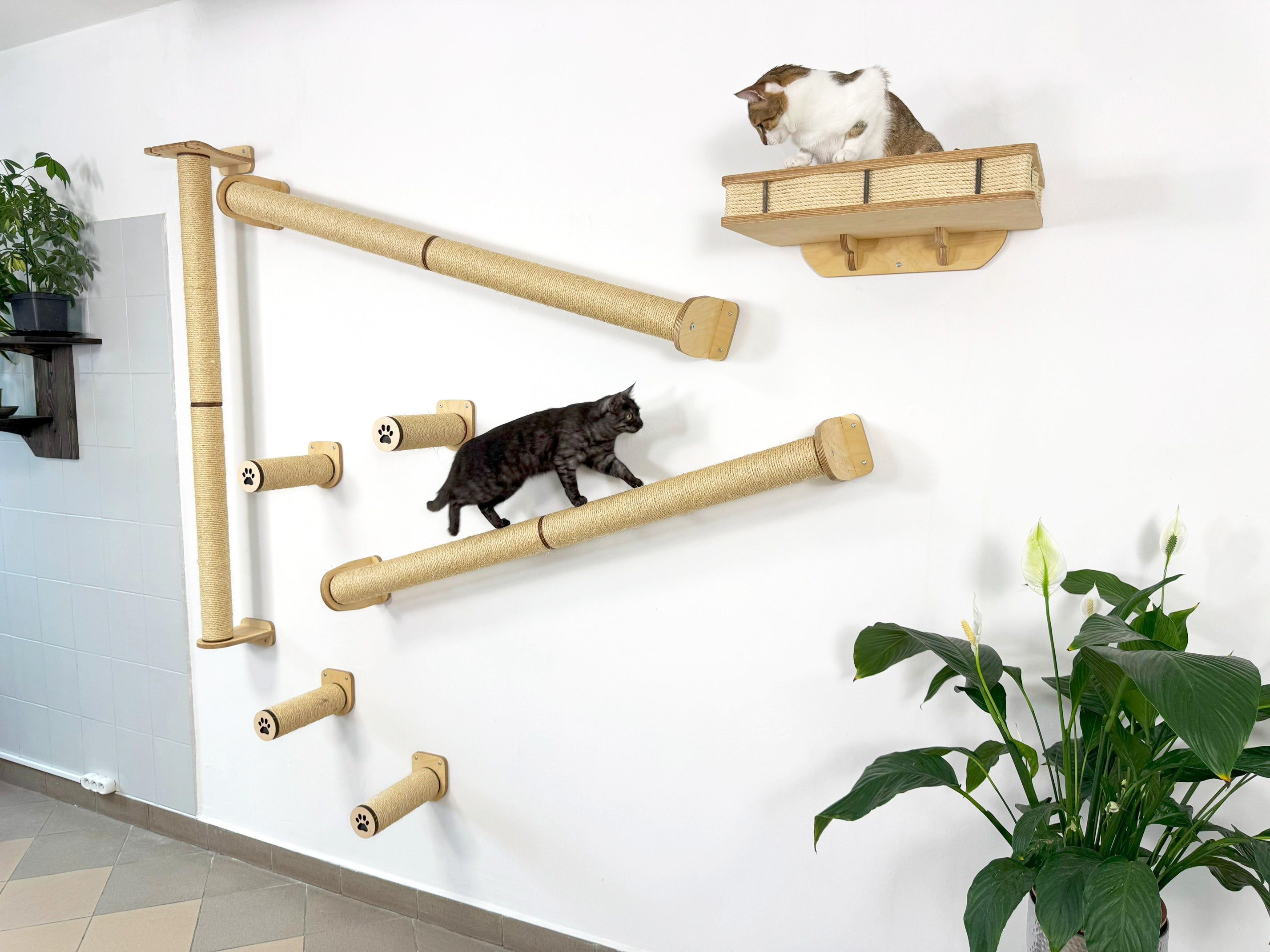 Wall Climbing Set for Cats with Shelf and Sisal Posts
