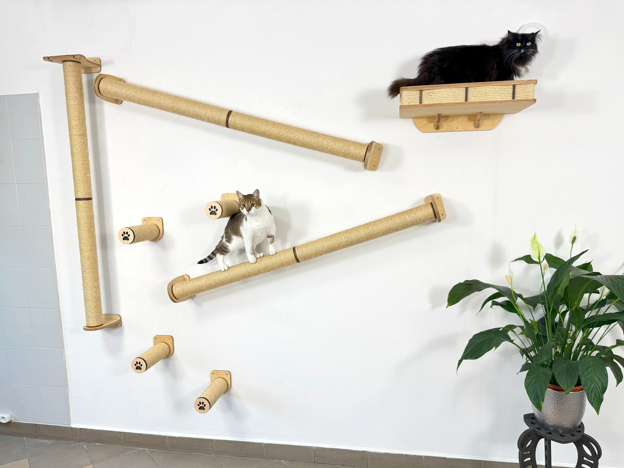 Vertical Cat Play System �C Steps, Shelf & Scratching Posts