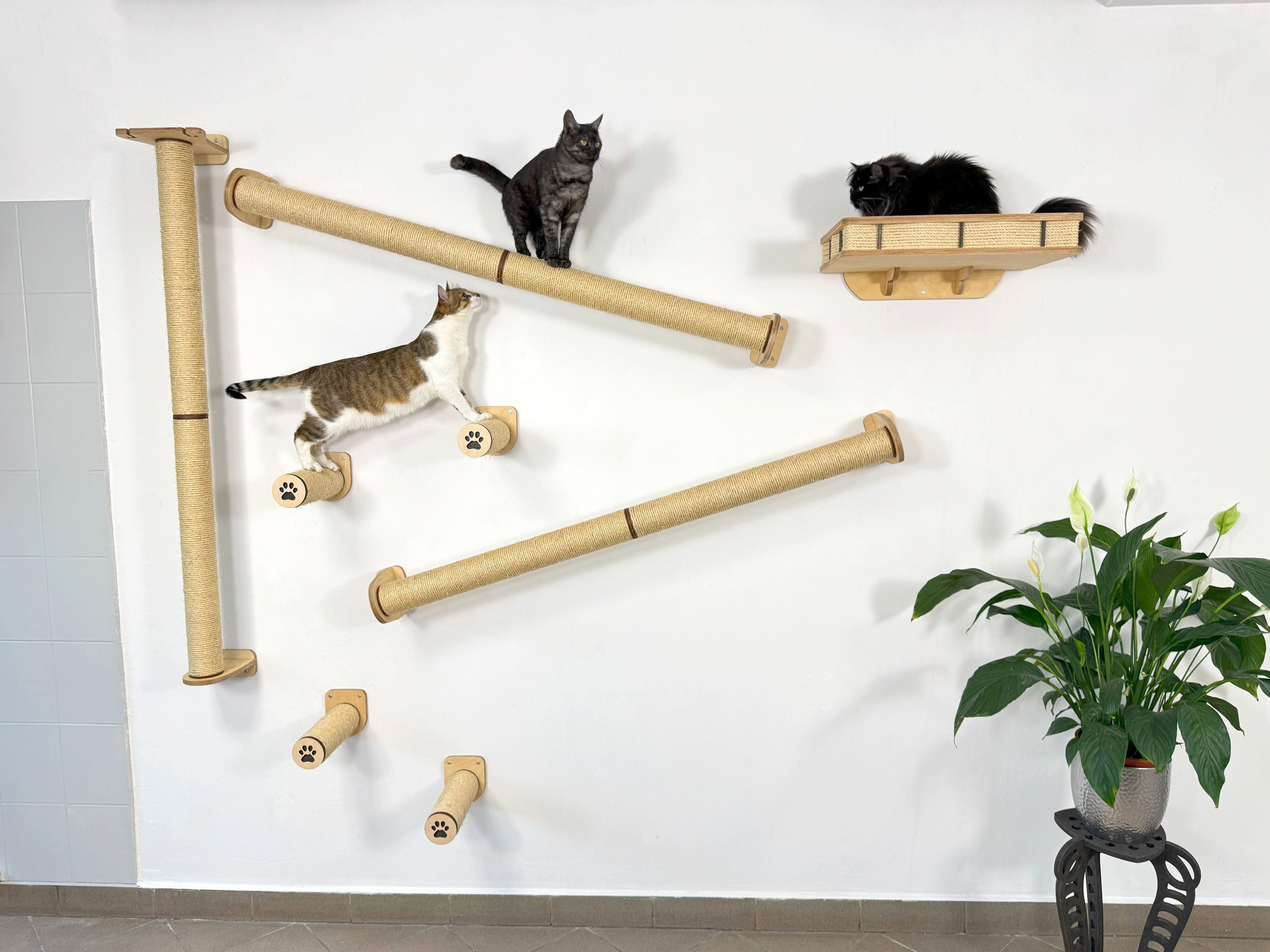 Vertical Cat Play System �C Steps, Shelf & Scratching Posts